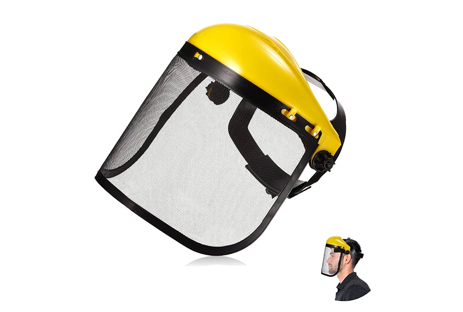 Shield Visor